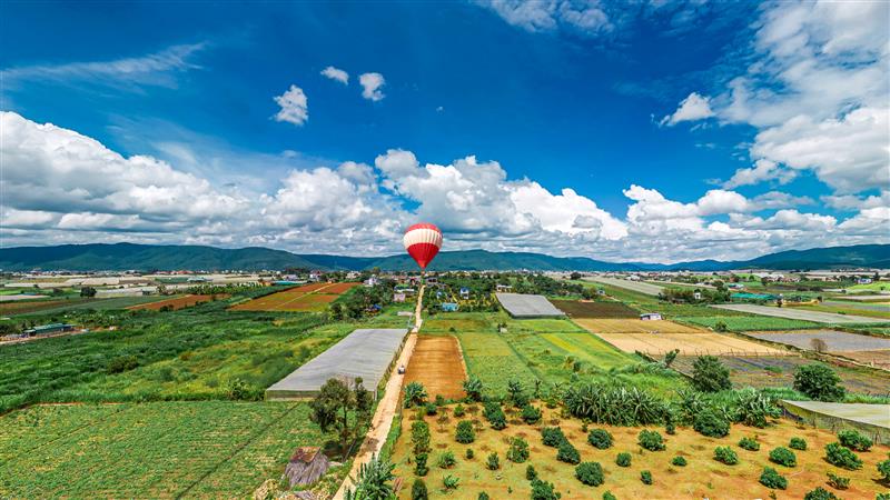 View 360o nhìn về Avocado Farm