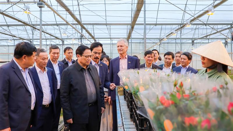 Thủ tướng Chính phủ Phạm Minh Chính và lãnh đạo tỉnh thăm dây chuyền sản xuất hoa của Công ty TNHH Dalat Hasfarm