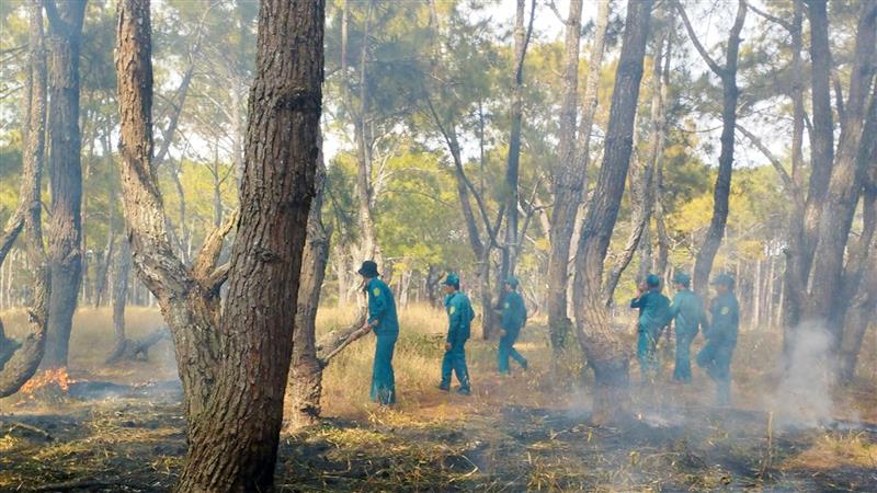 Một số đám cháy nhỏ đã được cơ quan chức năng phát hiện, dập tắt kịp thời, không gây thiệt hại tài nguyên rừng